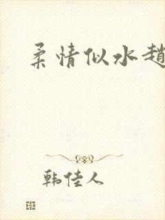 柔情似水赵雅儿封面