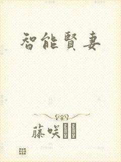 智能贤妻封面