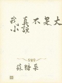 我真不是大佬的小说