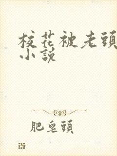 校花被老头吸奶小说