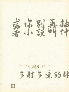 求你别再抽了原著小说叫什么