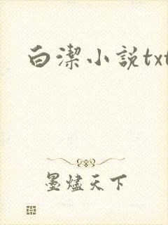 白洁小说txt