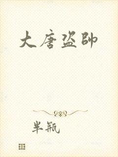大唐盗帅封面