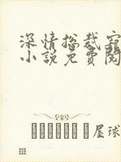 深情总裁宠不停小说免费阅读