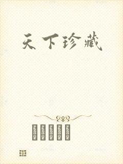 天下珍藏