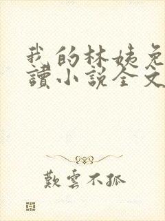 我的林姨免费阅读小说全文