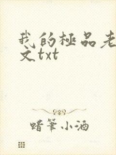 我的极品老婆全文txt