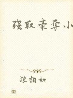 强取豪夺小说