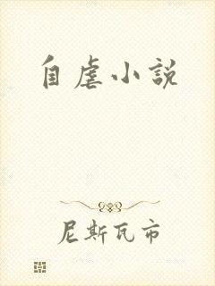 自虐小说封面