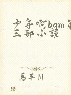 少年啊bgm第三部小说