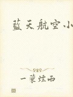 蓝天航空小说