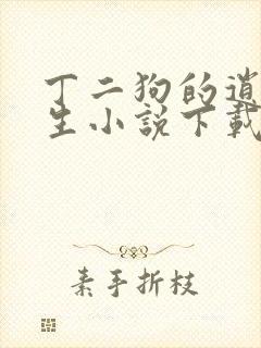 丁二狗的逍遥人生小说下载txt封面