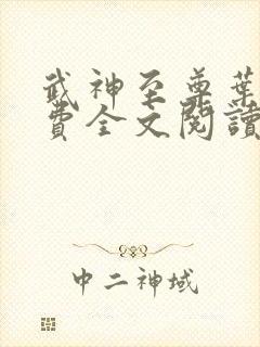 武神至尊叶风免费全文阅读无弹窗