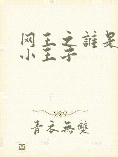 网王之谁是我的小王子