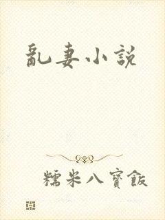 乱妻小说