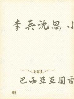 李兵沈思 小说