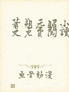 萧朔元昭小说全文免费阅读