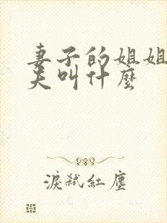 妻子的姐姐的丈夫叫什么