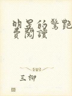 明星的惊艳史免费阅读封面