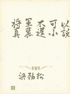将军不可以魏云真慕迟小说笔趣阁封面