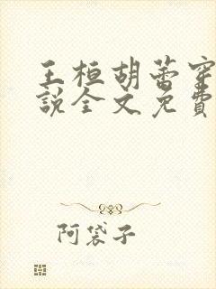 王桓胡蕾穿越小说全文免费阅读