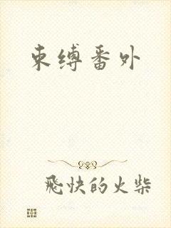 束缚番外