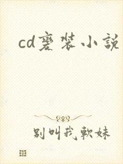 cd变装小说