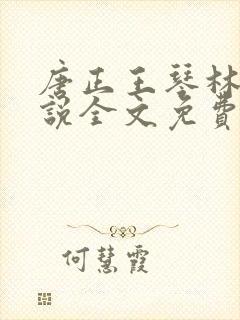 唐正王琴林媛小说全文免费阅读