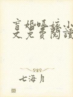 盲婚哑嫁小说全文免费阅读