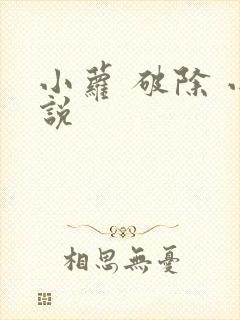 小萝 破除 小说