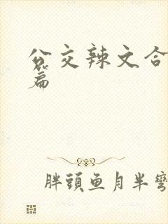 公交辣文合集短篇封面