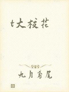 t大校花
