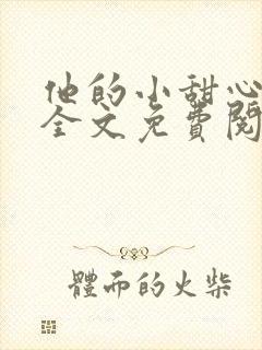 他的小甜心小说全文免费阅读