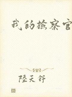 我的检察官先生