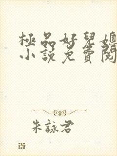 极品好儿媳老秦小说免费阅读全文封面