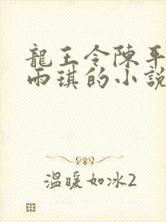 龙王令陈平,苏雨琪的小说