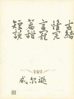 短篇言情古言小说甜宠完结封面