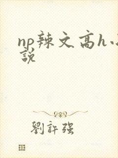 np辣文高h小说