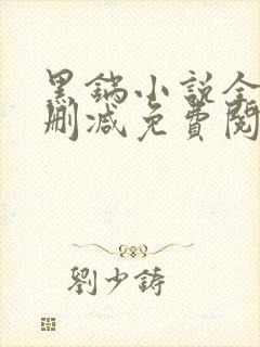 黑锅小说全文无删减免费阅读封面