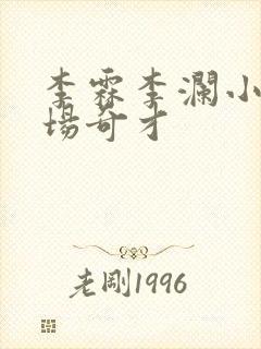 李霖李澜小说官场奇才