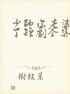 少帅你老婆又跑了短剧全集完整版