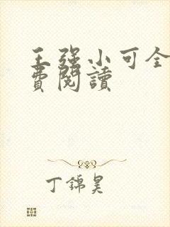 王强小可全文免费阅读封面