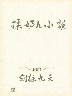 揉奶h小说封面