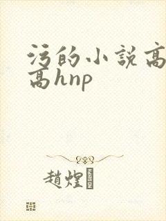 污的小说高细节高hnp封面