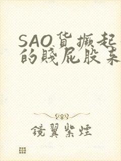 SAO货撅起你的贱屁股来