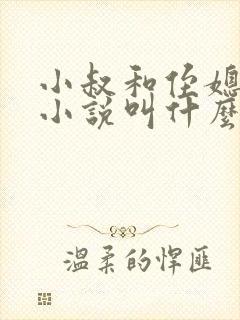 小叔和侄媳妇的小说叫什么