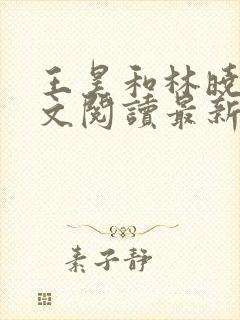 王昊和林晓薇全文阅读最新章节封面