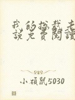 我的总裁老婆小说免费阅读封面