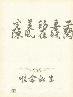 完美的妻子小说陈风在线阅读