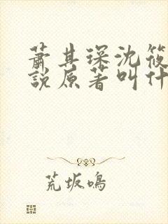 萧其琛沈筱宜小说原著叫什么封面